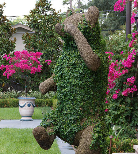 Monkey Topiary