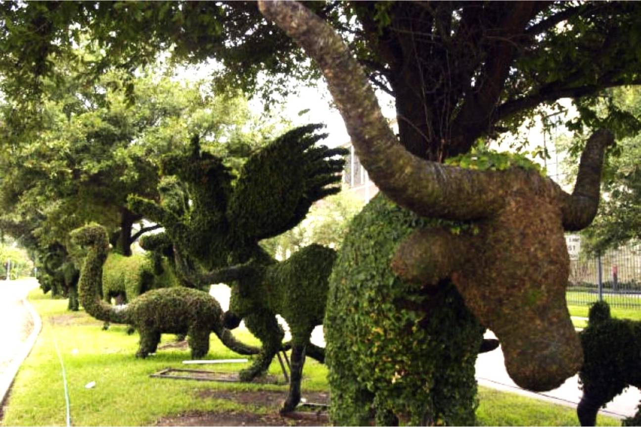 Longhorn Topiary