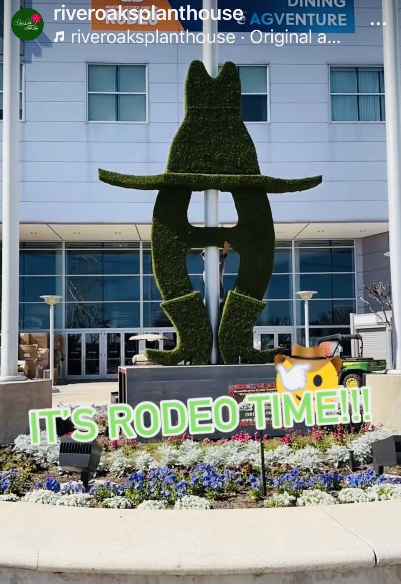 Houston Rodeo Topiary - image thumbnail_IMG_4620-800x1166 on https://www.riveroaksplanthouse.com